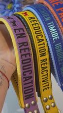 BioThane® message handle