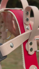 💛 Harnais Service Dog - dos droit