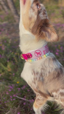 Edelweiss - Collier à message 💬