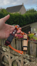 Harnais léger en BioThane® 19mm