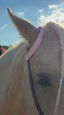 Bosal Gemma