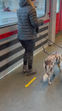 Laisse double Annapurna