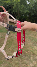 💛 Harnais Service Dog - dos droit