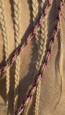 Bosal Gemma